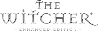 The Witcher